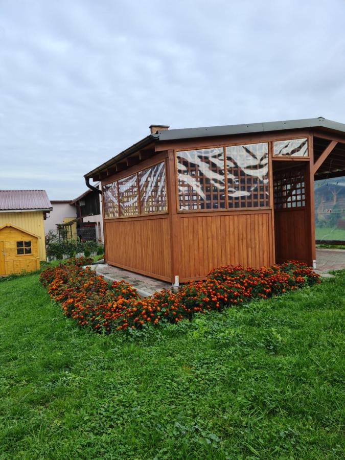 Rodzinny Apartament Na Kaszubach Brusy Exterior photo